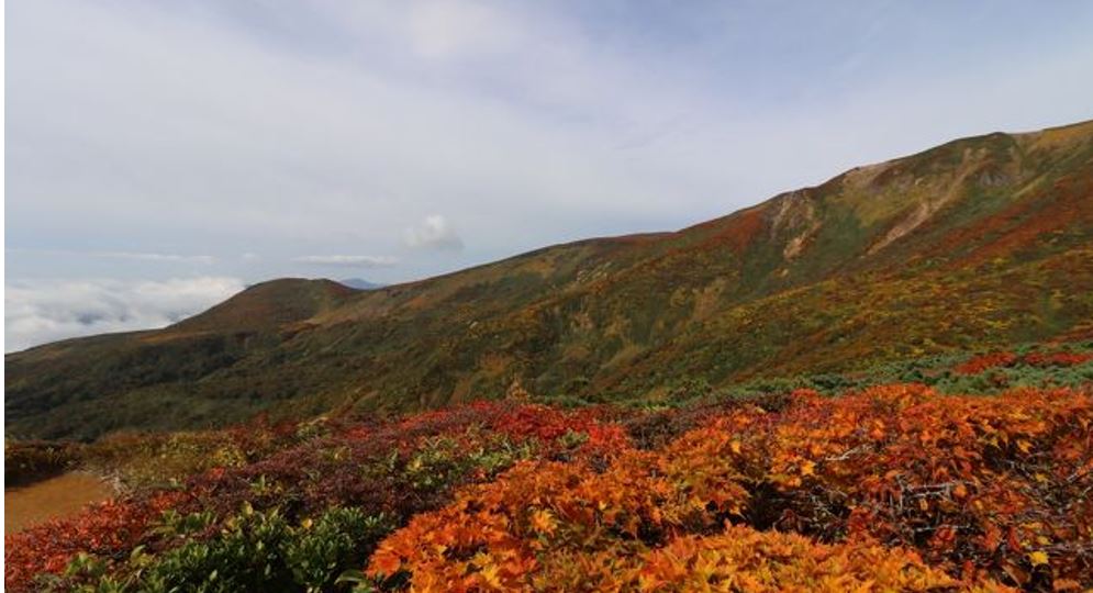 栗駒山　紅葉